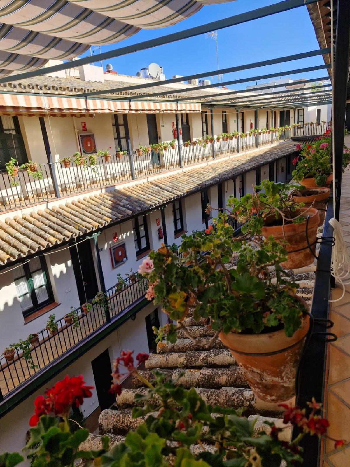 Patio Cartuja Lägenhet Sevilla Exteriör bild